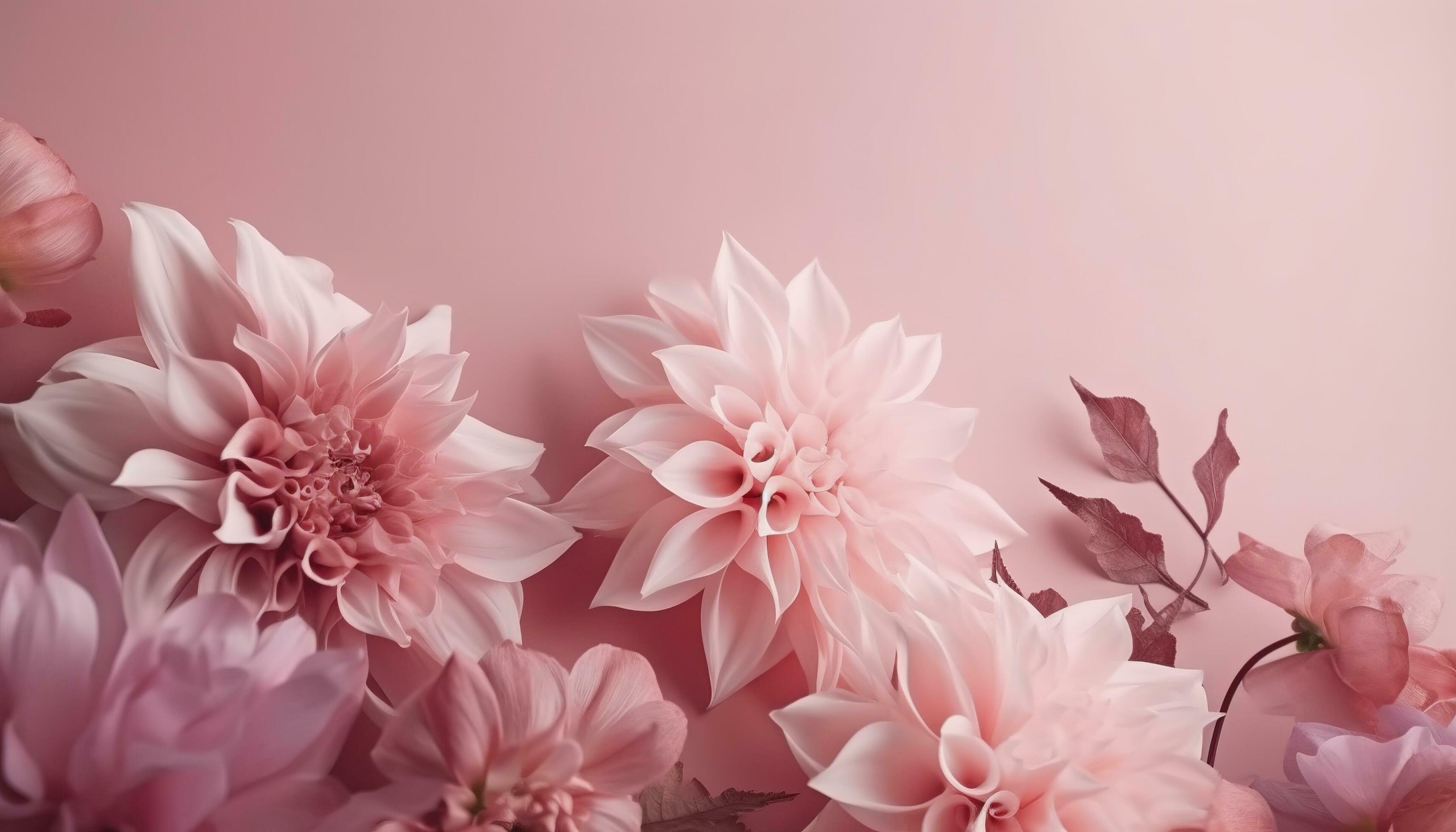 pink flowers composition over pastel background, generate ai Stock Free