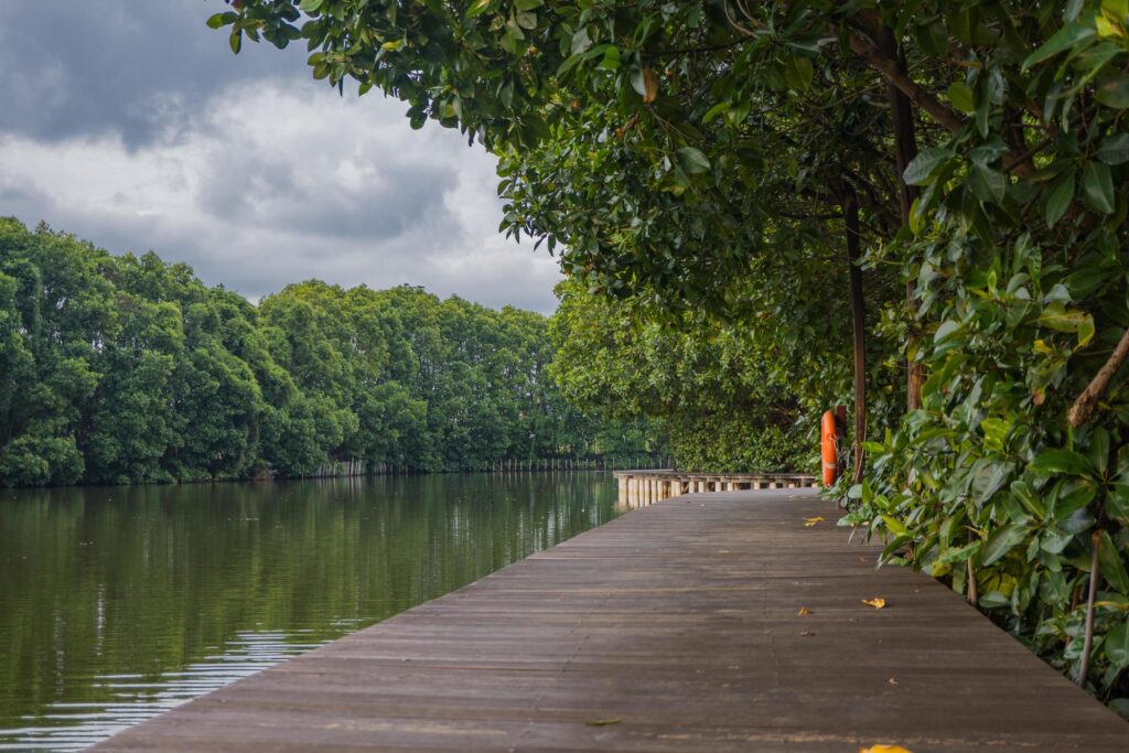 Wooden bridge over the tropical lake with cloudy vibes. The photo is suitable to use for adventure content media, nature poster and forest background. Stock Free