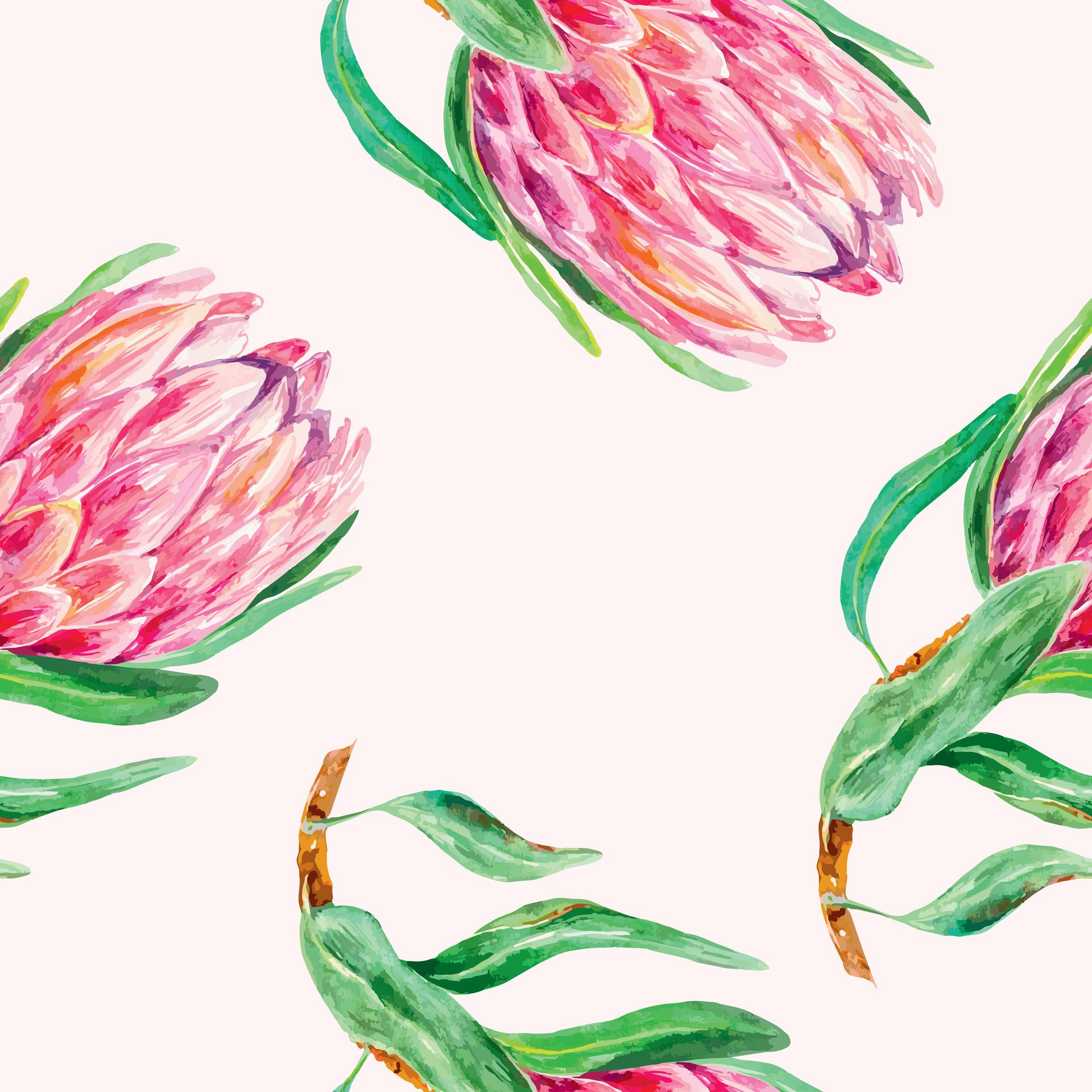 Protea watercolor, pattern. Vector illustration of pink flowers. Design element for wrapping paper, textile, wallpaper, fabric, cover, scrapbooking. Free Vector