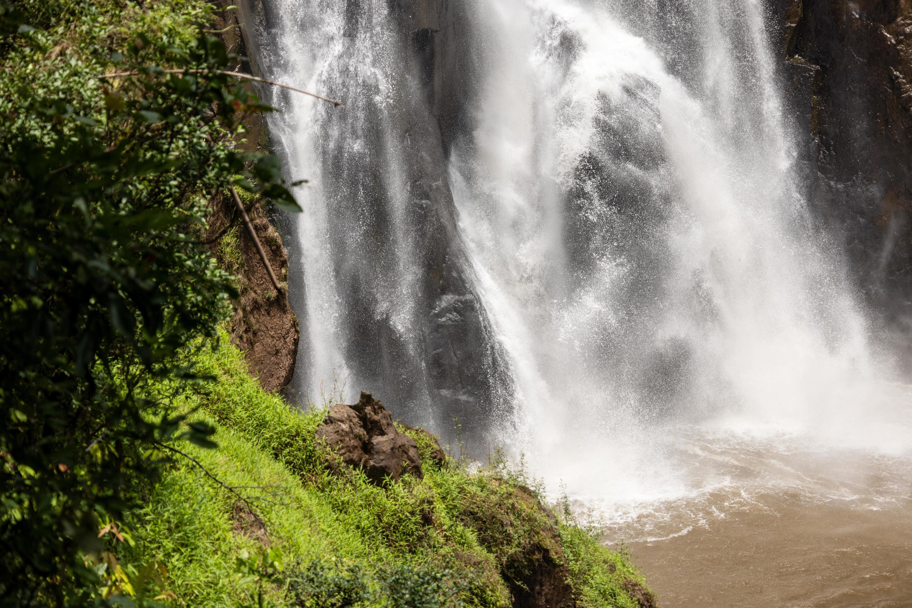 A natural waterfall in a big forest in the midst of beautiful nature. Stock Free