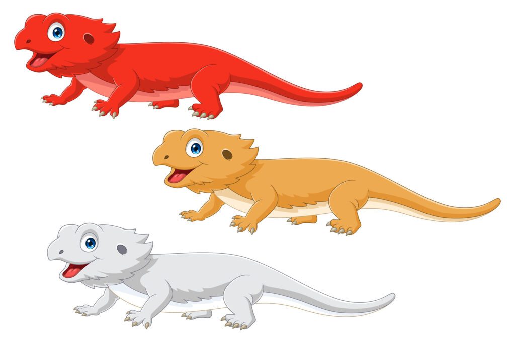 types of cartoon bearded dragon on white background Free Vector