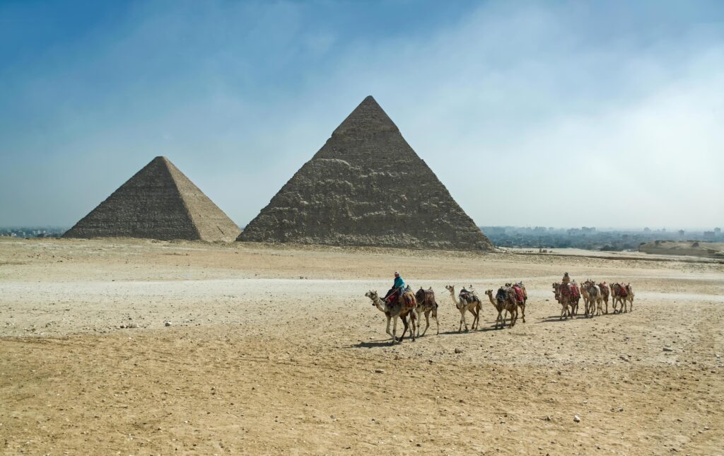 Pyramids in Giza plateau. Caravan of camels. Egypt Stock Free