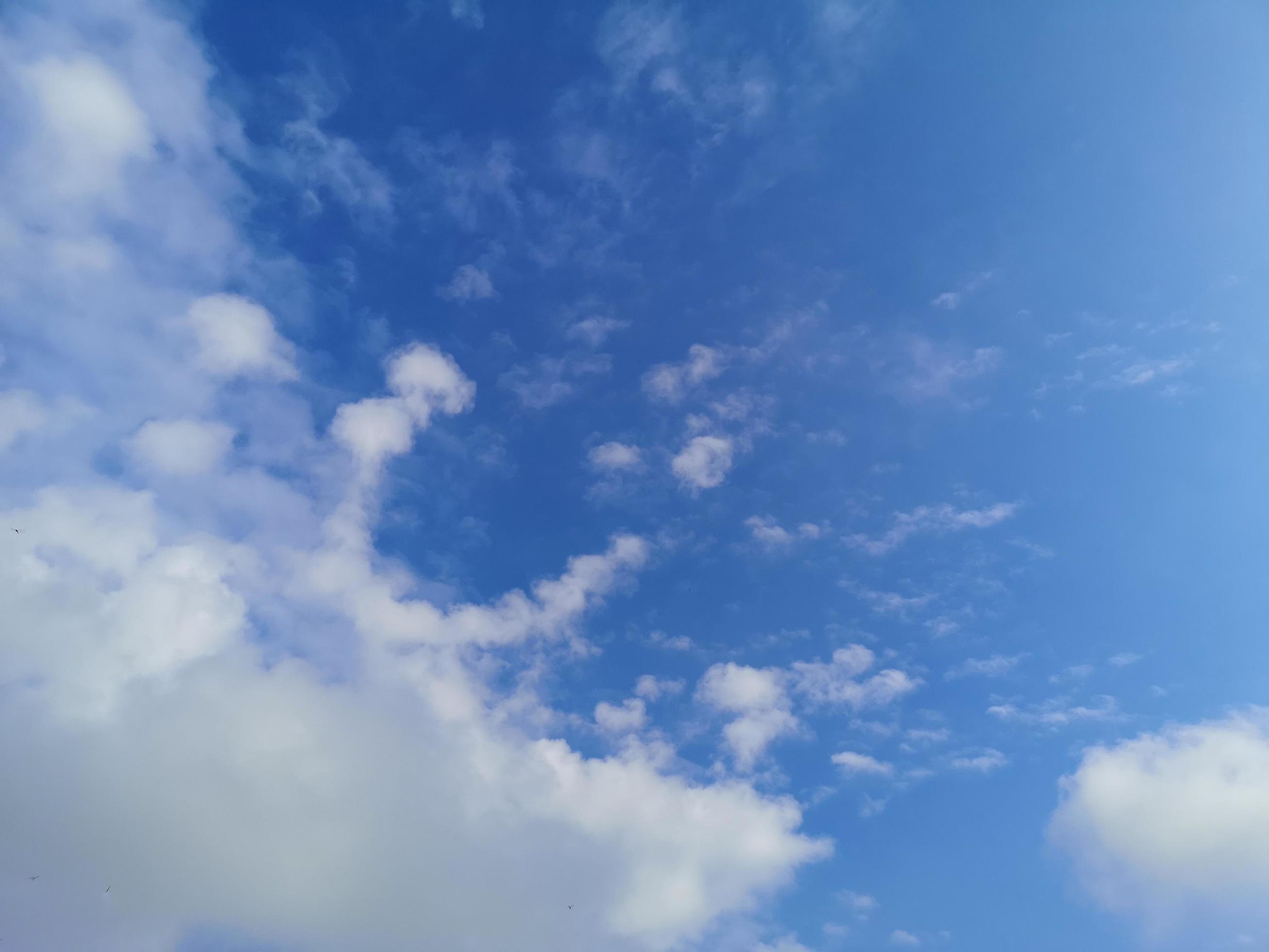 Altostratus white clouds in the blue sky natural background beautiful nature environment space for write Stock Free