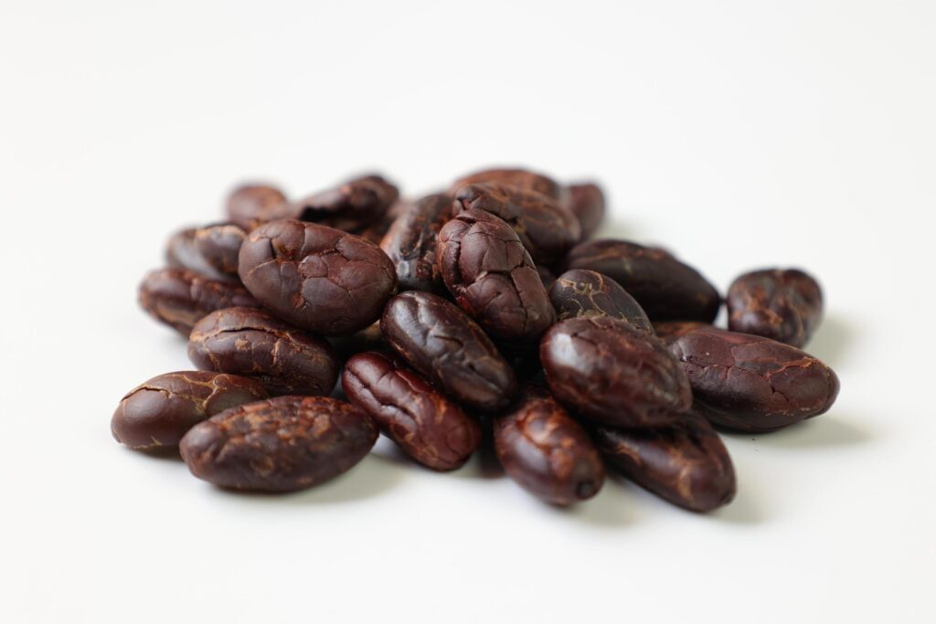 Roasted cocoa beans isolated on white background Stock Free