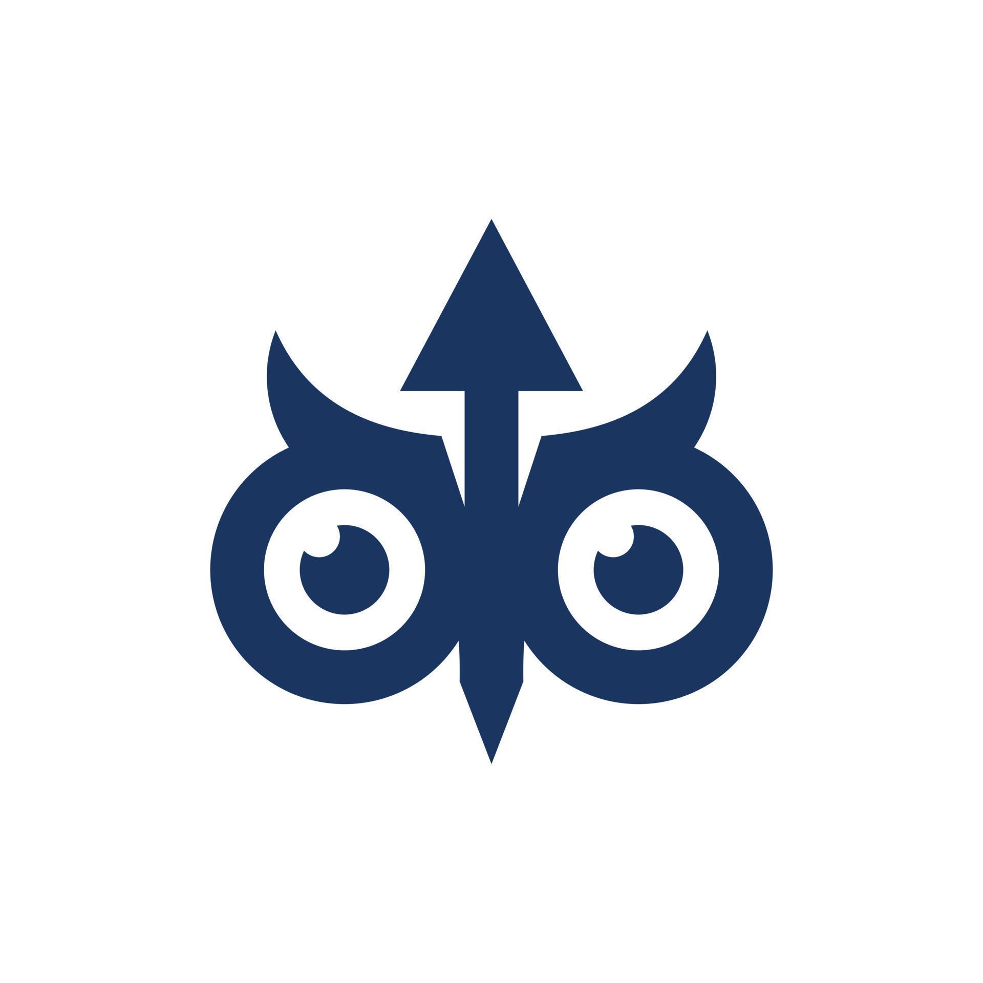 Animal owl face arrow geometric simple logo Stock Free