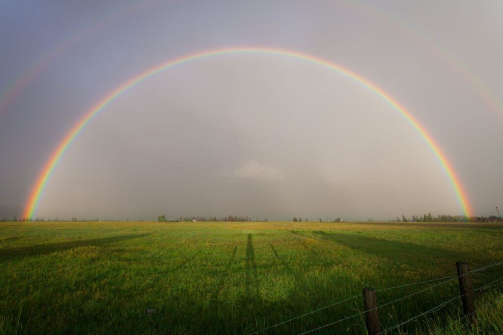 Agriculture Stock Free