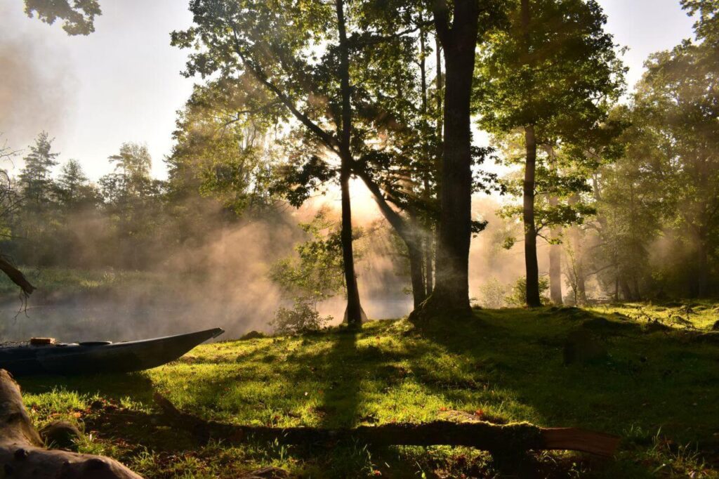 Backlit Stock Free