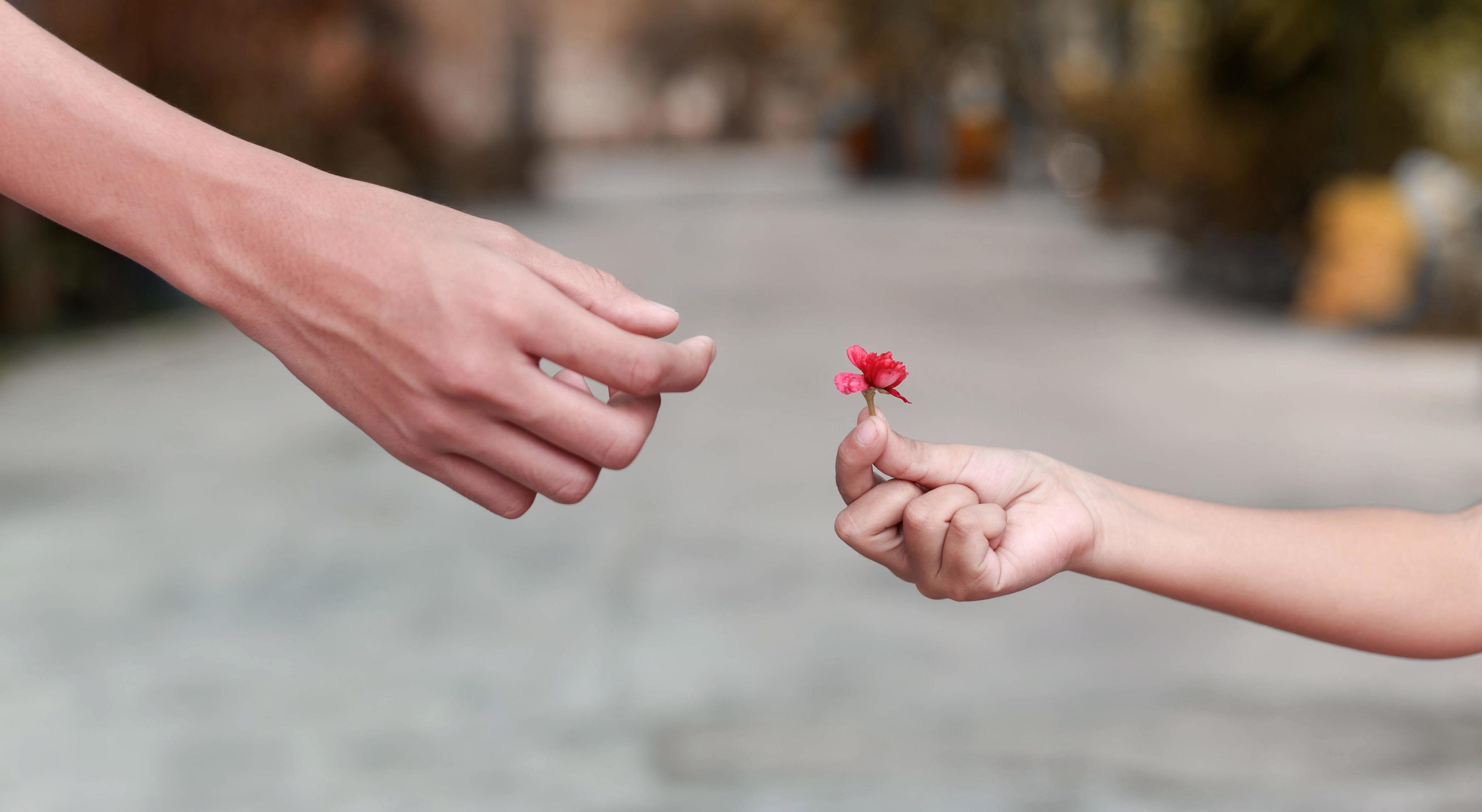 Small hand holding flower Stock Free