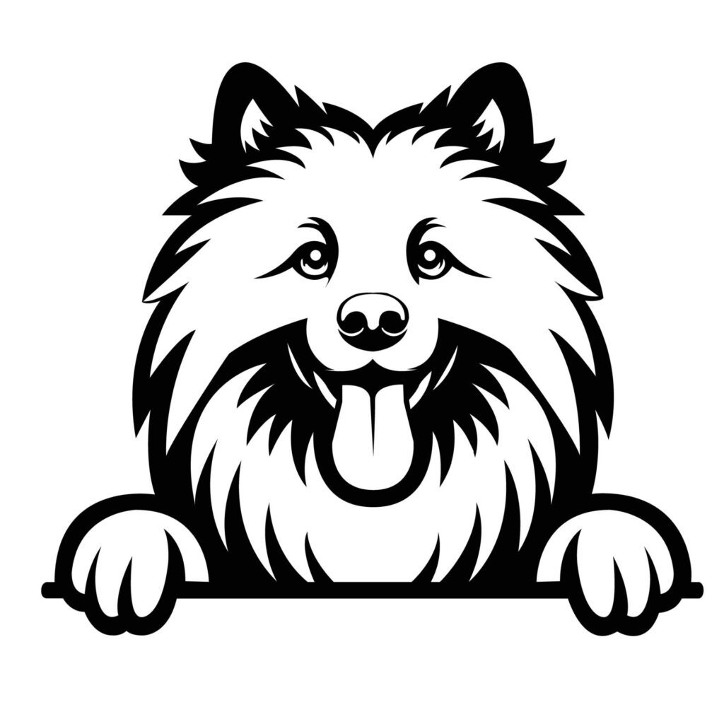 Black And White Keeshond dog peeking face illustration vector Free Vector