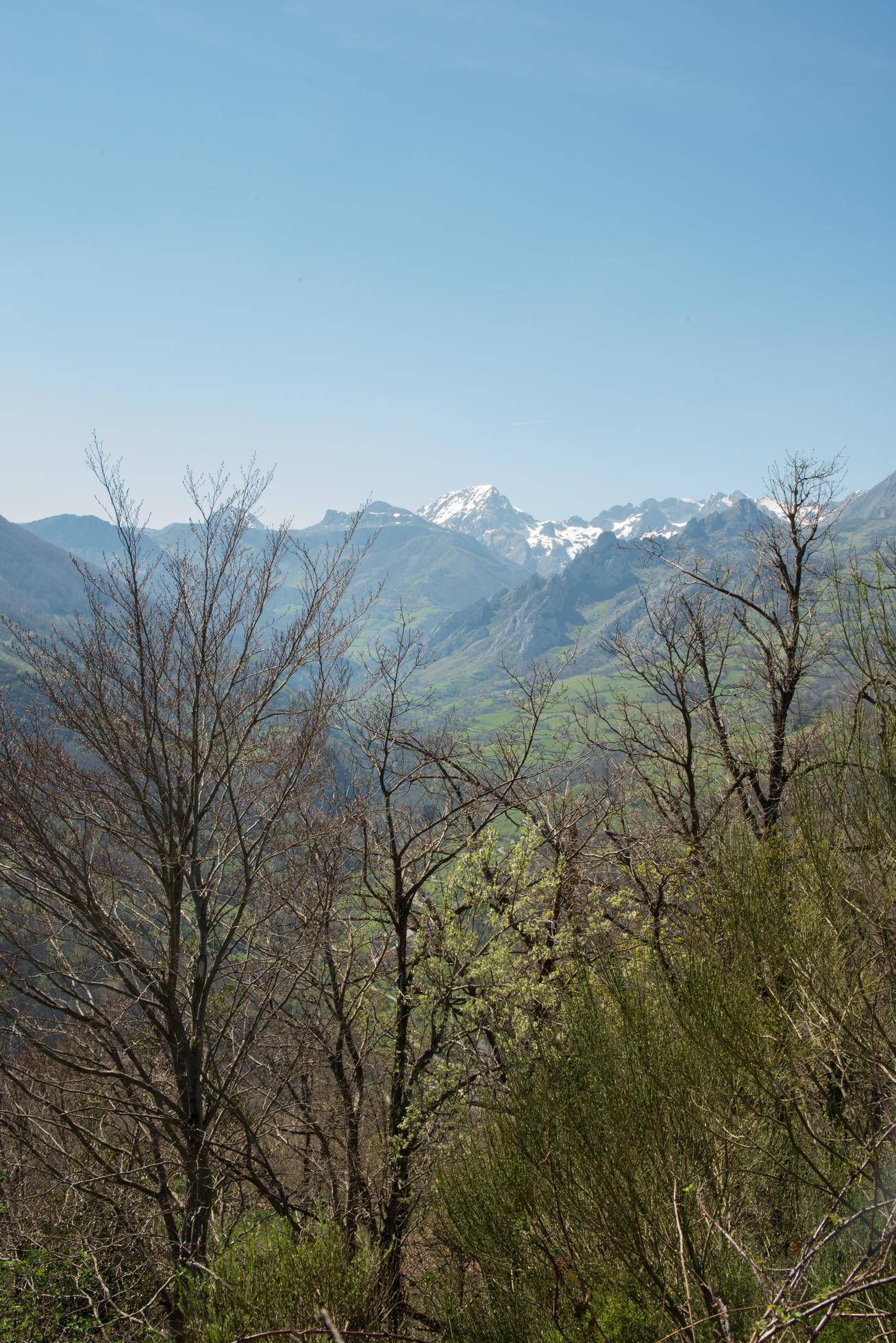 Beautiful view of Natural Park Las Ubinas and La Mesa, in Asturias. Mountains with snow in the background Stock Free