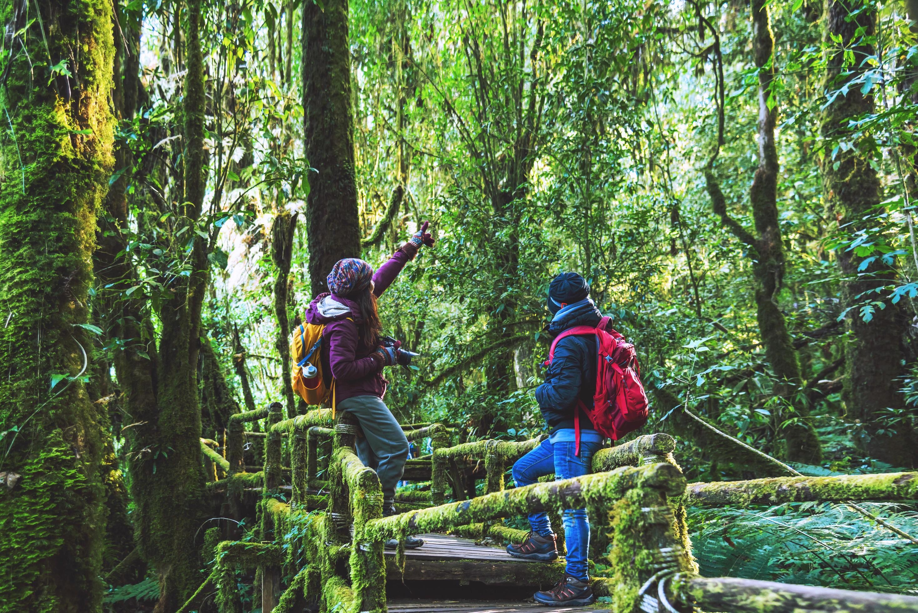 Couples traveling, relax in winter. walking travel to study nature in the rainforest. at the angka, Chiangmai in Thailand. Stock Free