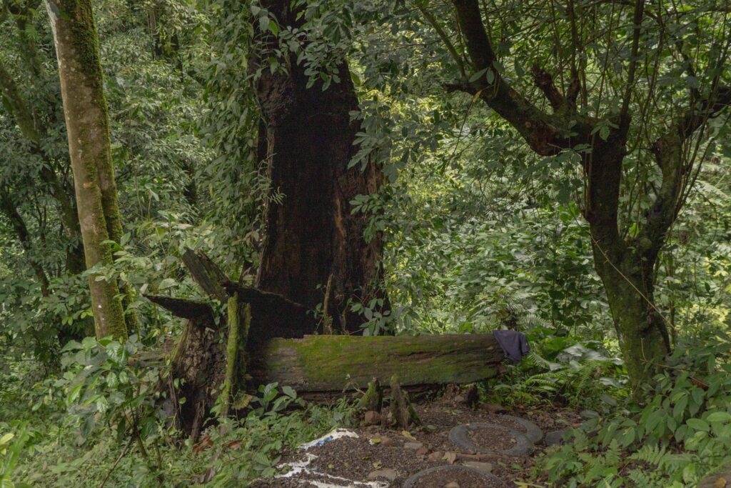 The way going to water fall on the rain forest. The photo is suitable to use for adventure content media, nature poster and forest background. Stock Free