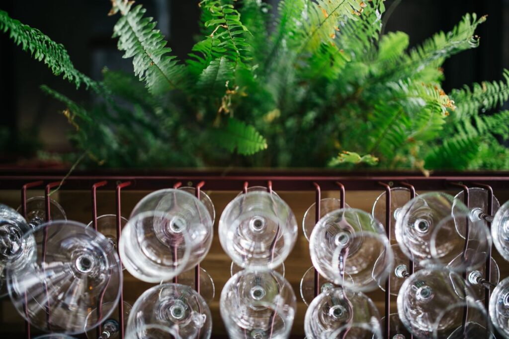 A big bunch of wine glasses hanging from a holder Stock Free