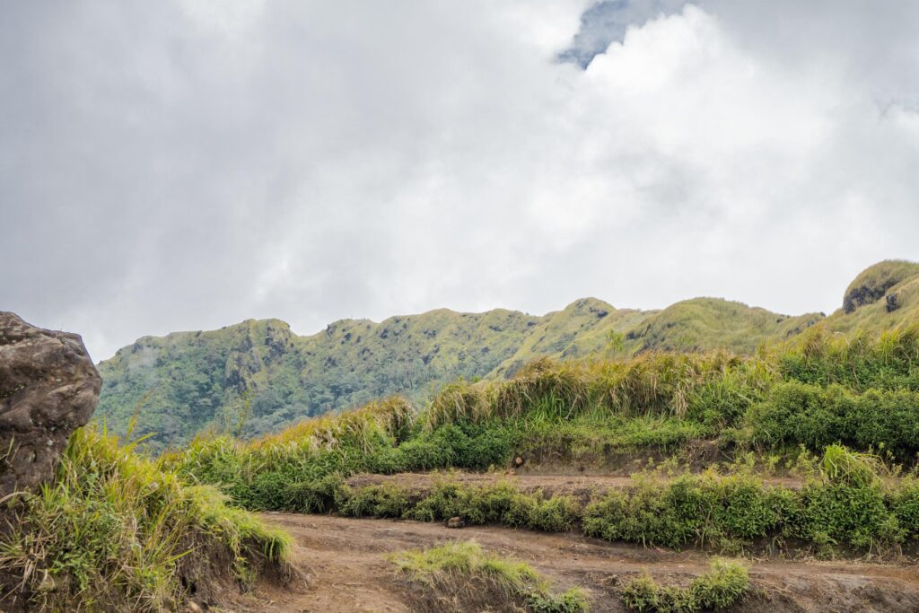 The way going to peak mountain, with Savana and foggy vibes. The photo is suitable to use for adventure content media, nature poster and forest background. Stock Free