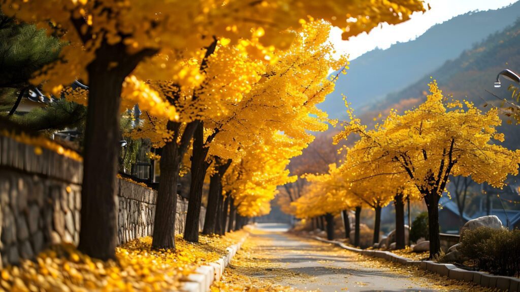 Sunlit Golden Ginkgo Leaves Lining the Path Free Photo