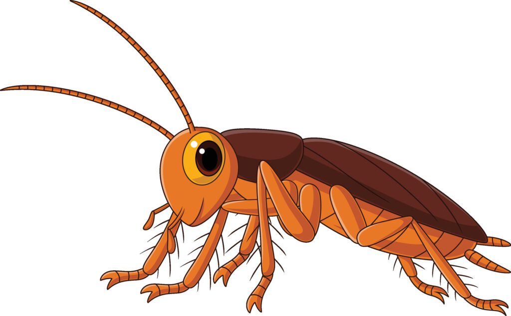 Cute cockroach cartoon on white background Free Vector