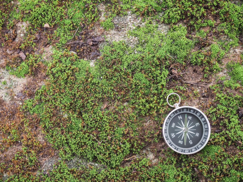 Compass with green moss background. The concept of world tourism day, Searching the right directions and Travel Stock Free