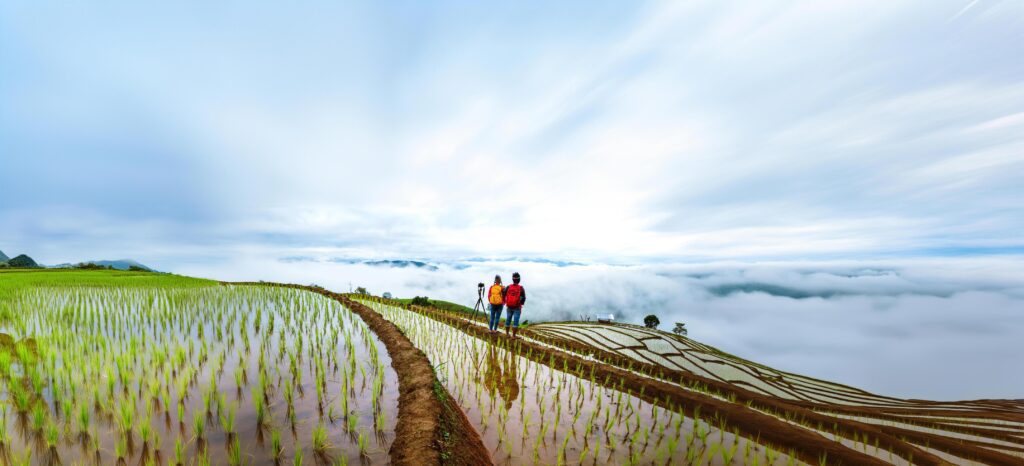 Lover woman and man Asian travel nature. Travel relax. Walking take a photo on the field. in summer. Stock Free