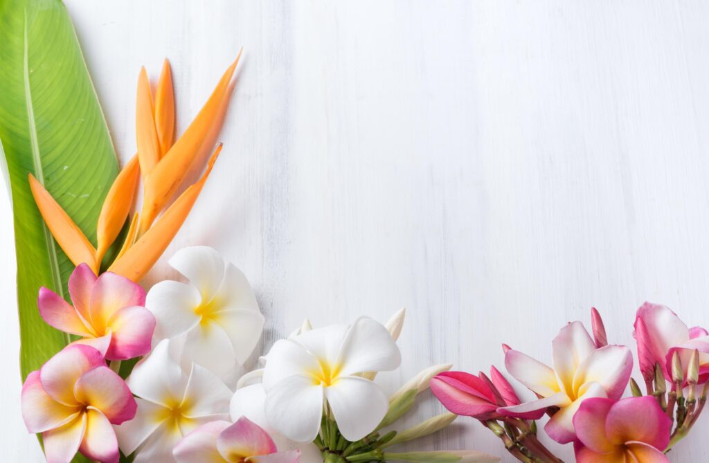 white wood texture with Heliconia and plumeria flower Stock Free