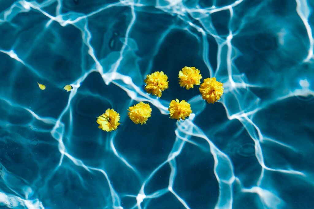 Small yellow flowers floating in the pool Stock Free