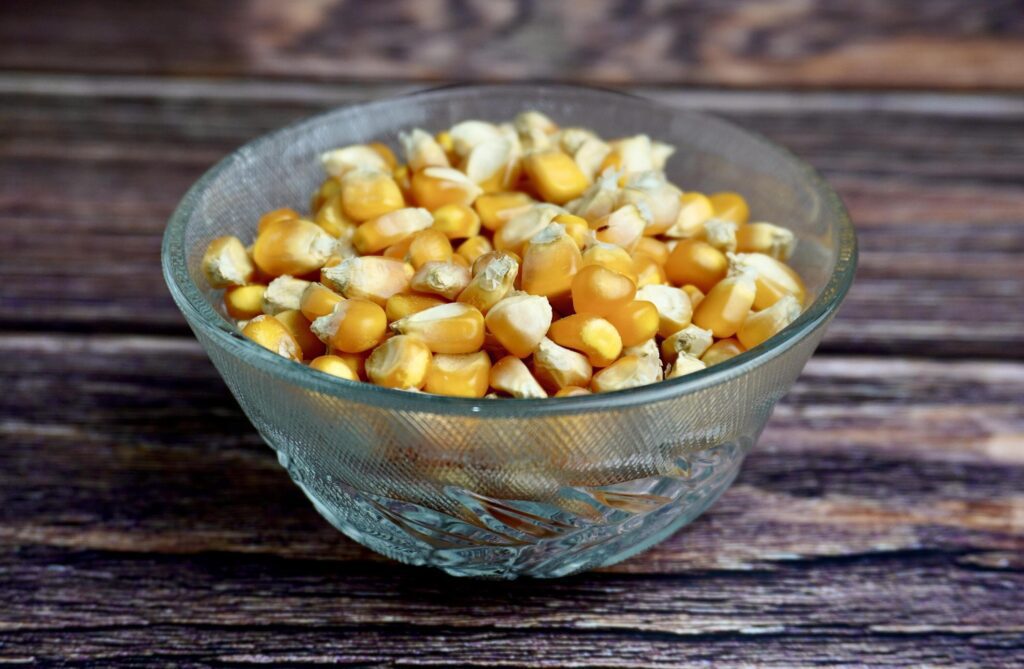 Dry yellow corns in glass bowl food ingredients photography isolated on horizontal ratio wooden table surface background. Stock Free