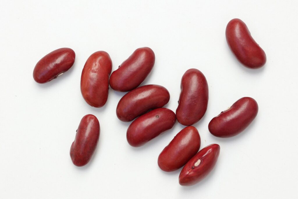 Red beans isolated on white background Stock Free