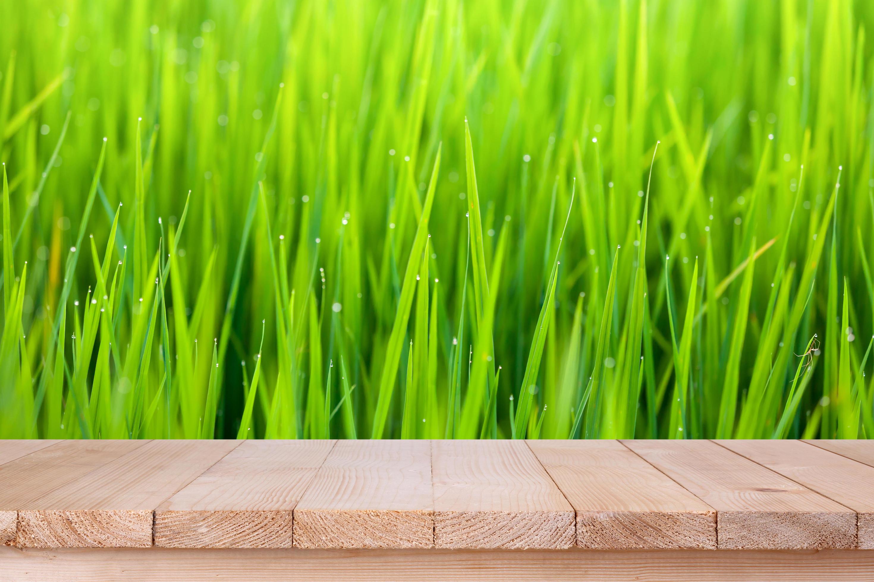 brown-wood-table-top-on-bokeh-abstract-green-nature-background-can-be-used-for-montage-or-display-your-products-free-photo