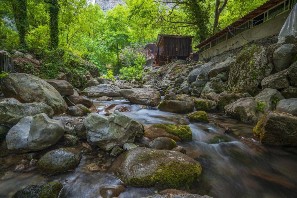 Mountain river stream waterfall green forest Landscape nature plant tree rainforest jungle Stock Free