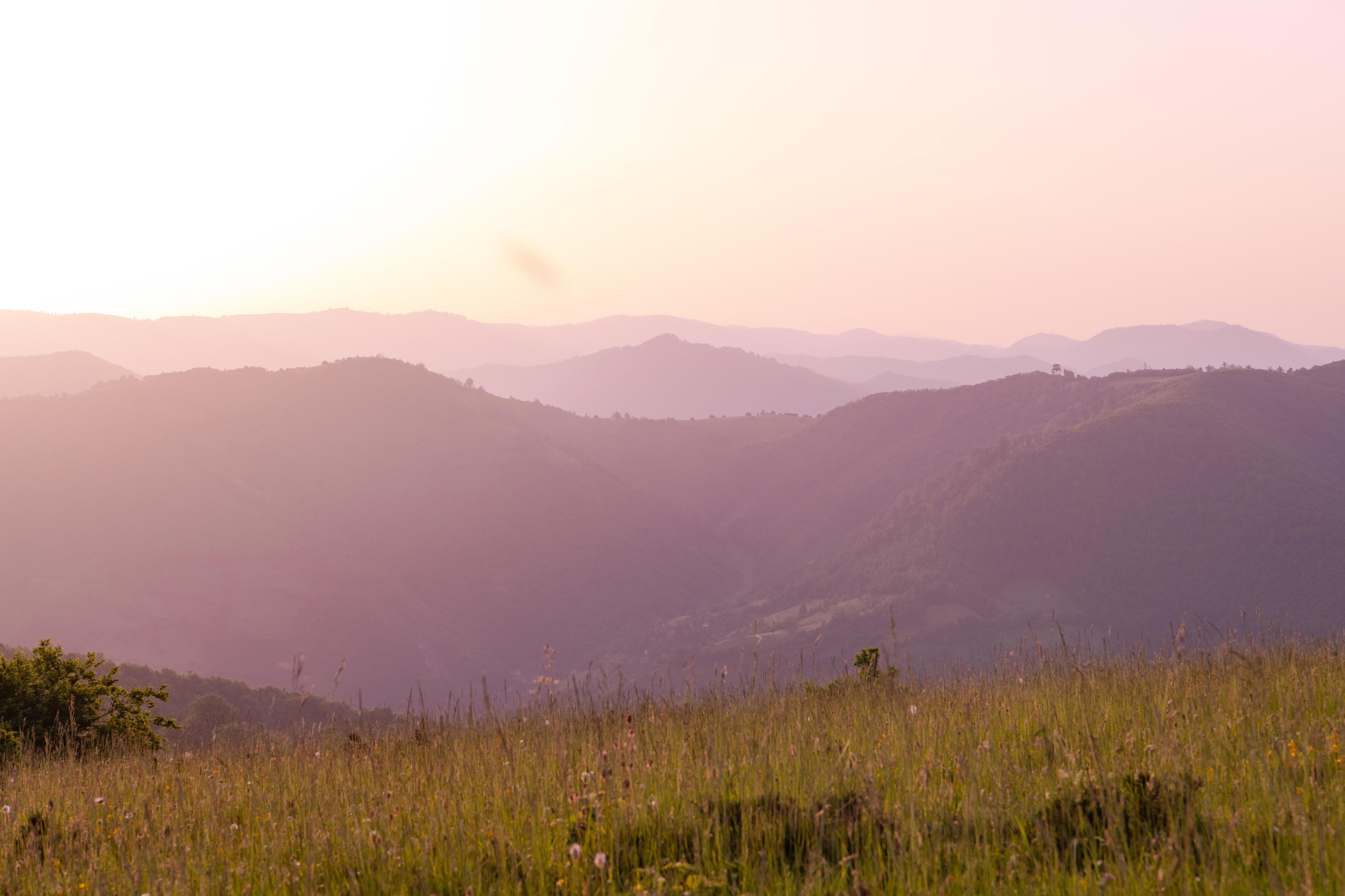 landscape nature summer Stock Free