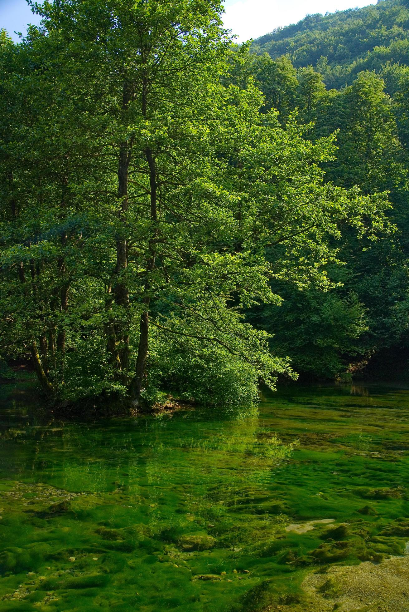 lake in pure nature Stock Free