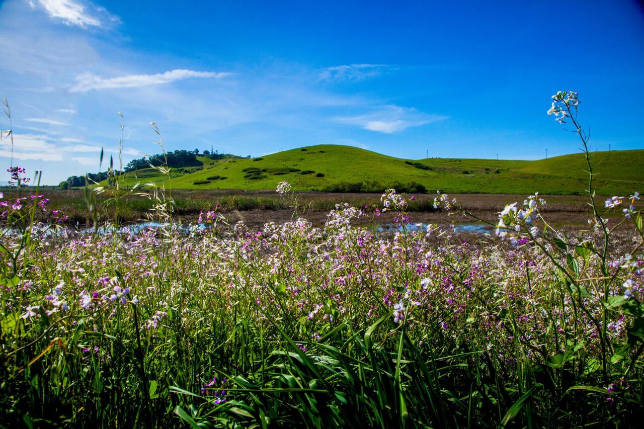 Agriculture Stock Free