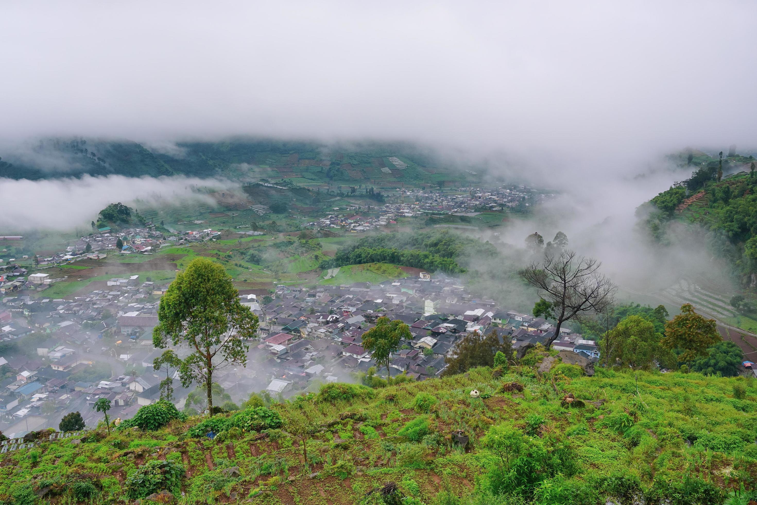 Fog over the mountains.In the rainy weather in the countryside. Filled with green trees and beautiful nature. Stock Free Stock Free