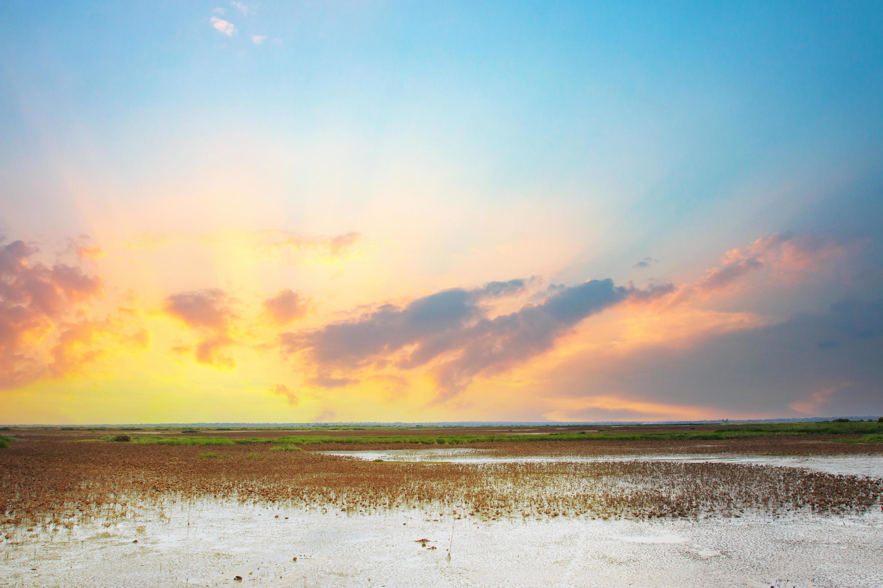 Natural swamp and the sky at sunset. Stock Free