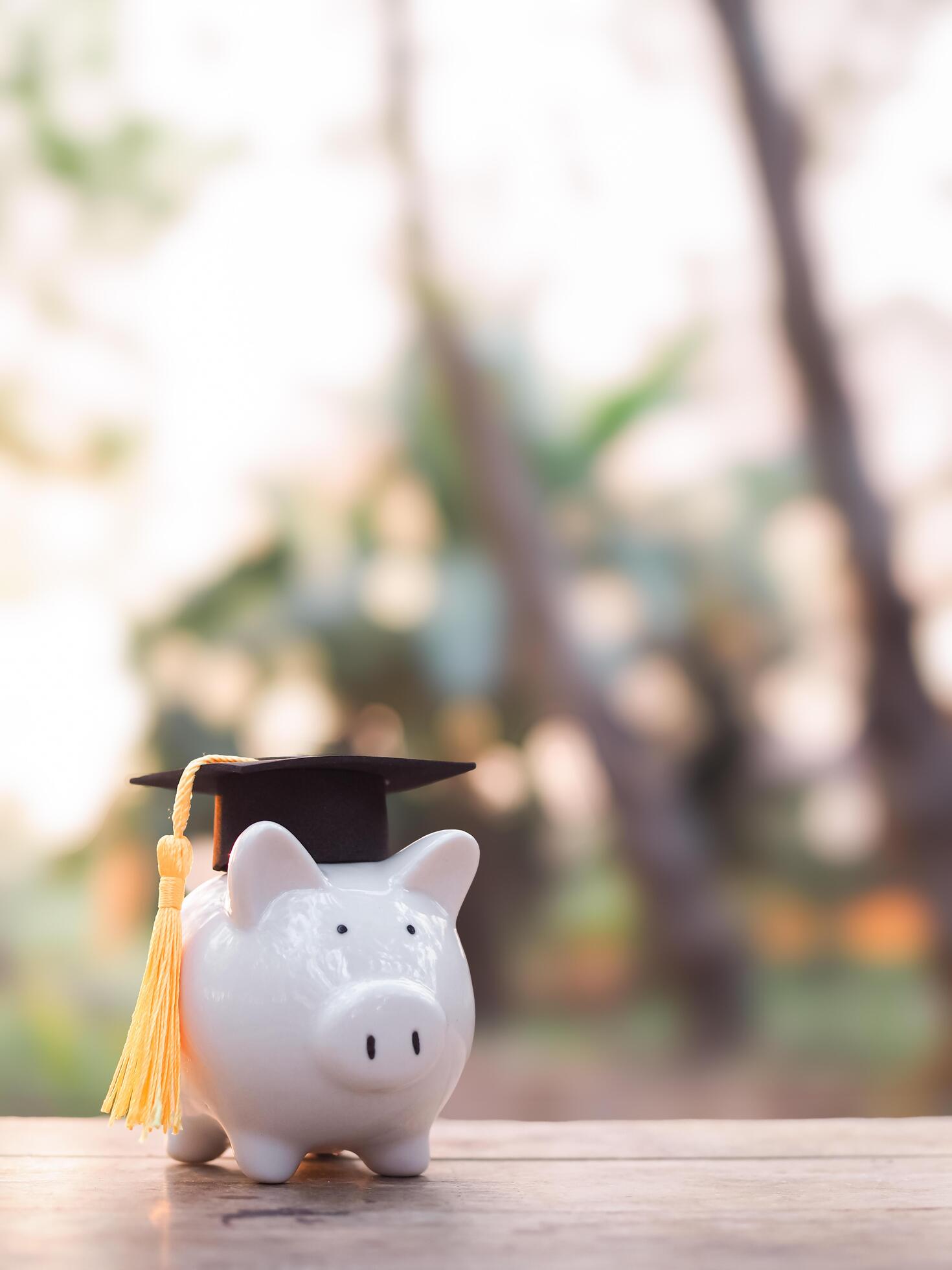 Piggy bank with graduation hat. The concept of saving money for education, student loan, scholarship, tuition fees in future Stock Free