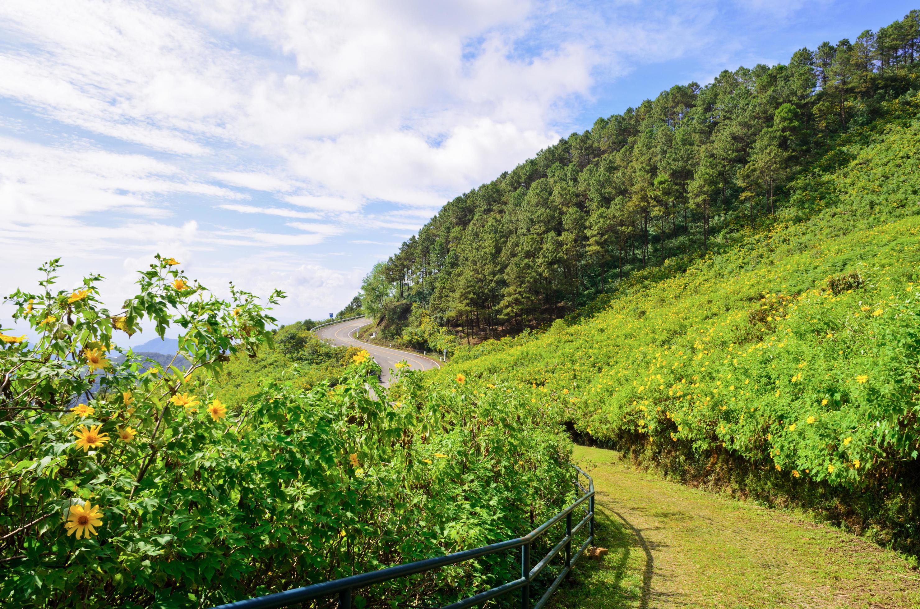 Scenic nature Doi Mae Uko mountain Stock Free