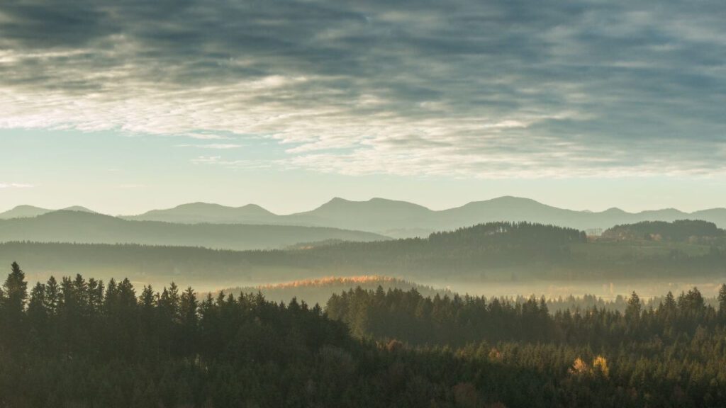 Mountain Forest Clouds Stock Free