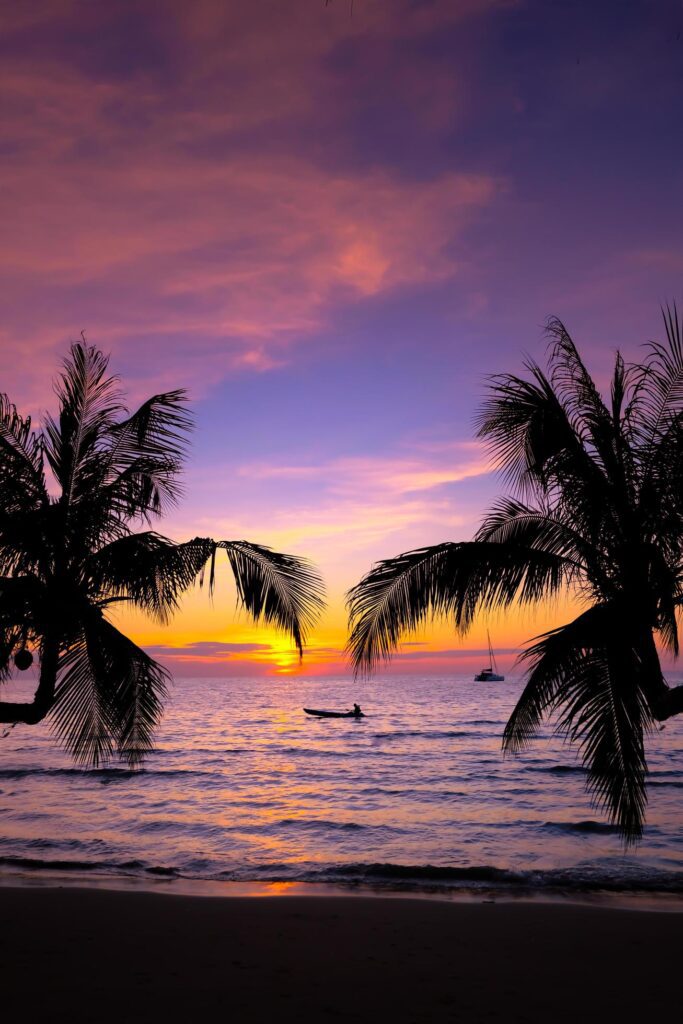 Silhouette of beautiful sunset on the sea beach with palm tree for travel in holiday relax time, on nature background Stock Free