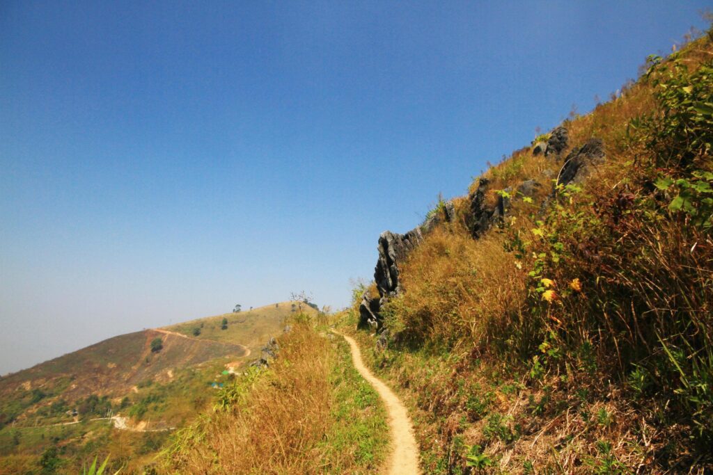 Natural footpath and dry grassland on the mountain at Doi Pha Tang hill in Thailand Stock Free