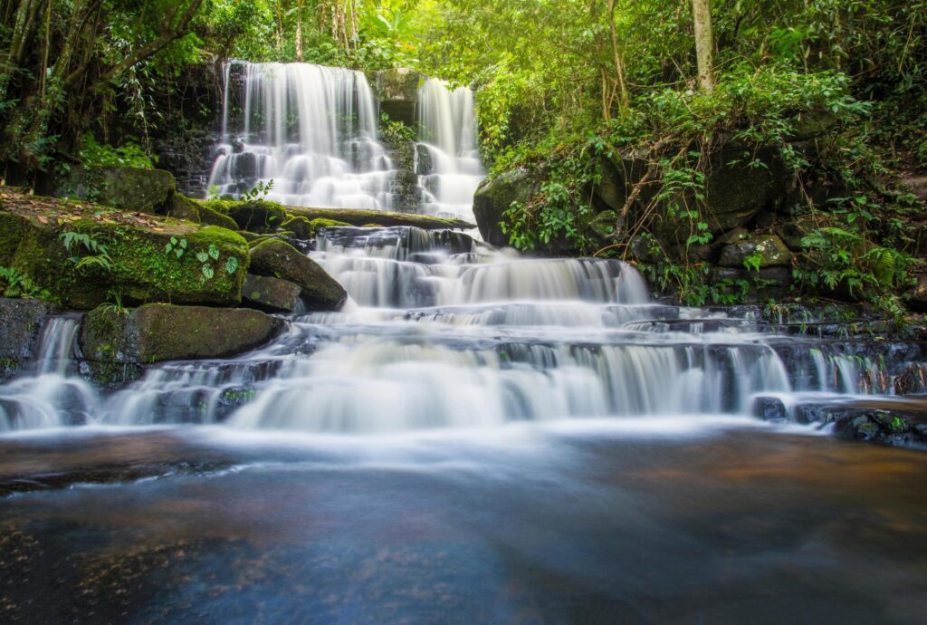 Tropical forest jungle river stream waterfall mountain landscape nature Stock Free