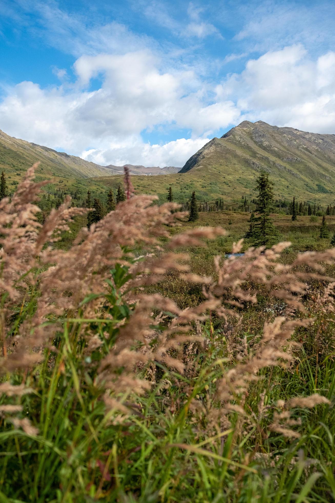 Nature landscape in Alaska Stock Free