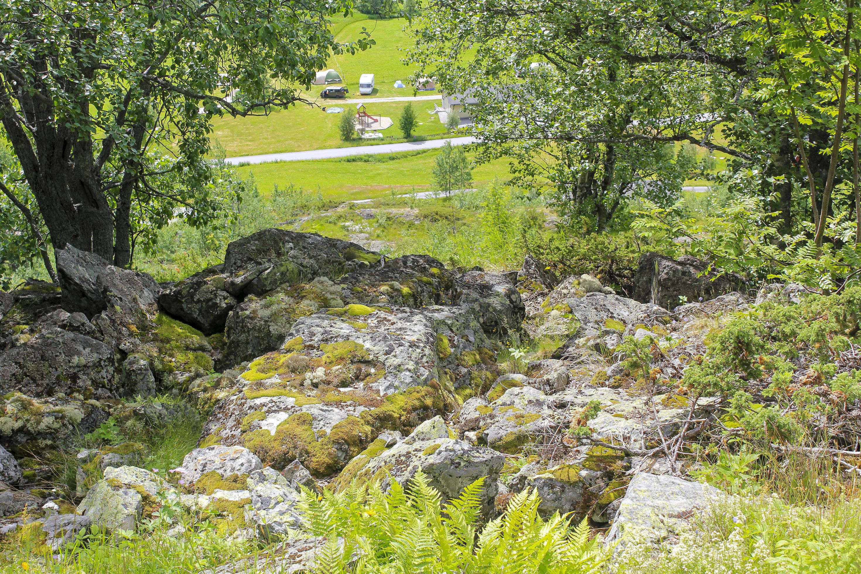 Norwegian landscape with trees firs mountains and rocks. Norway Nature. Stock Free