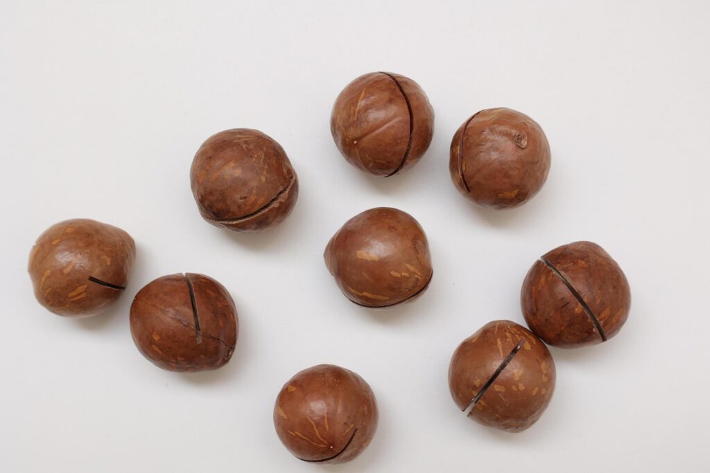 Macadamia nuts seeds background Stock Free