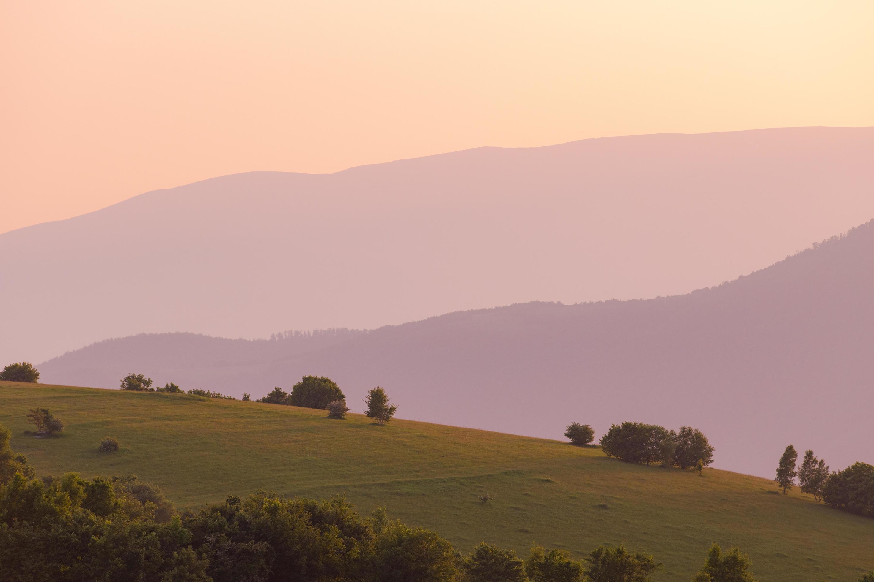 landscape nature summer Stock Free