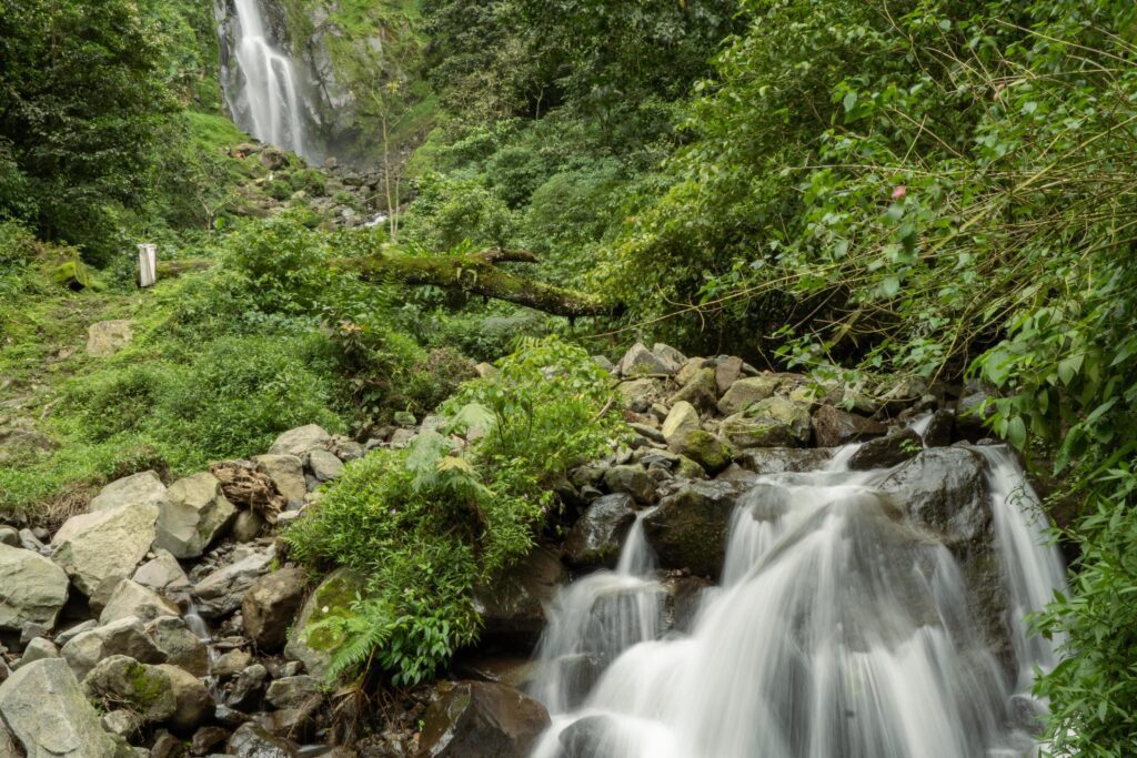 Scenery of single water fall on the tropical forest. The photo is suitable to use for adventure content media, nature poster and forest background. Stock Free