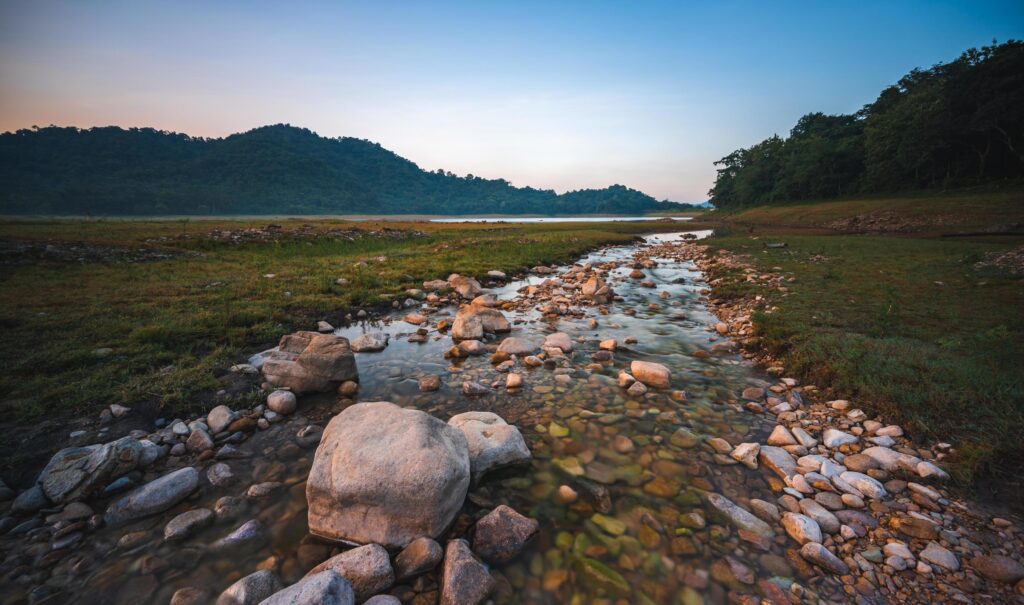 Nature landscape view of fresh water stream Stock Free