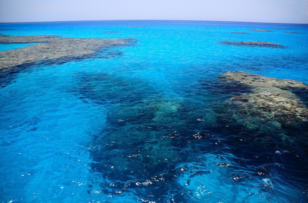 beautiful coral reef in Red Sea natural reserve Stock Free