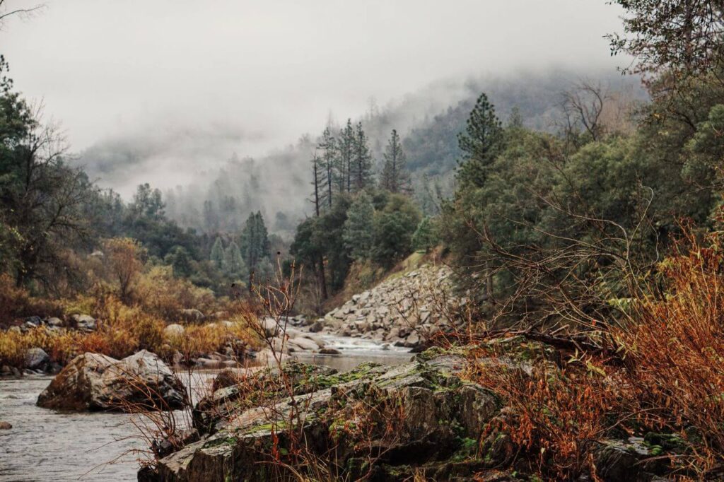 Autumn Trees River Clouds Stock Free