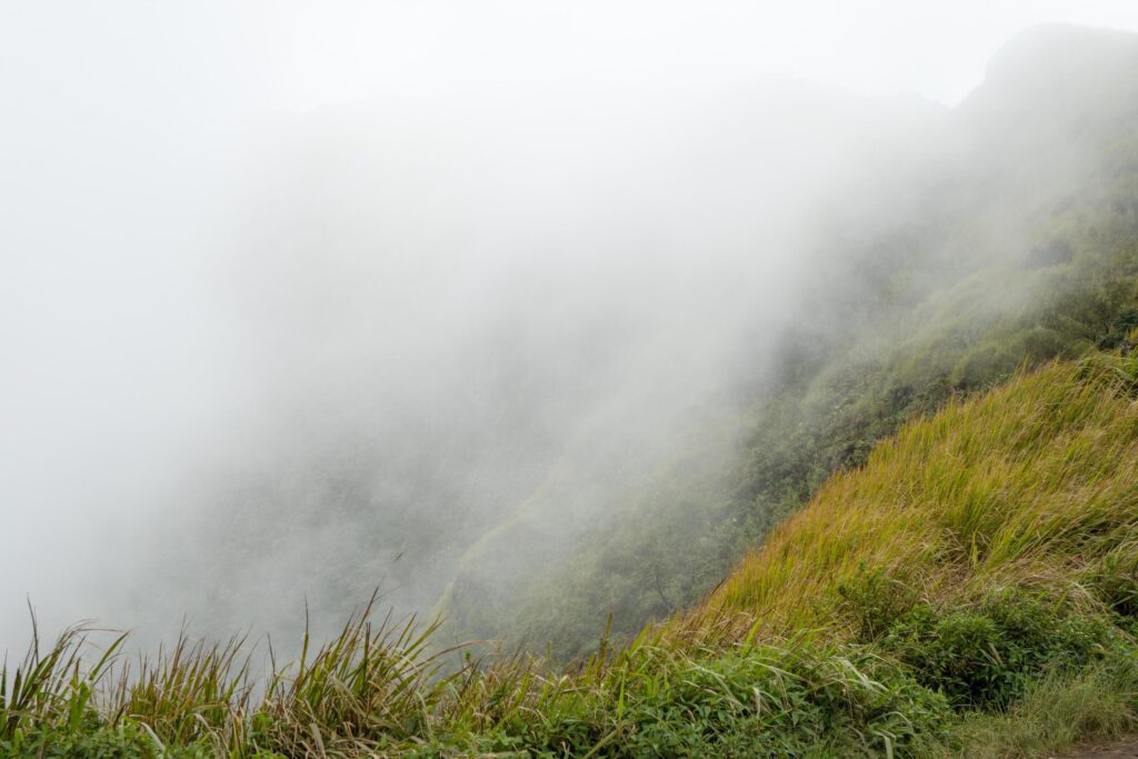 The way going to peak mountain, with Savana and foggy vibes. The photo is suitable to use for adventure content media, nature poster and forest background. Stock Free