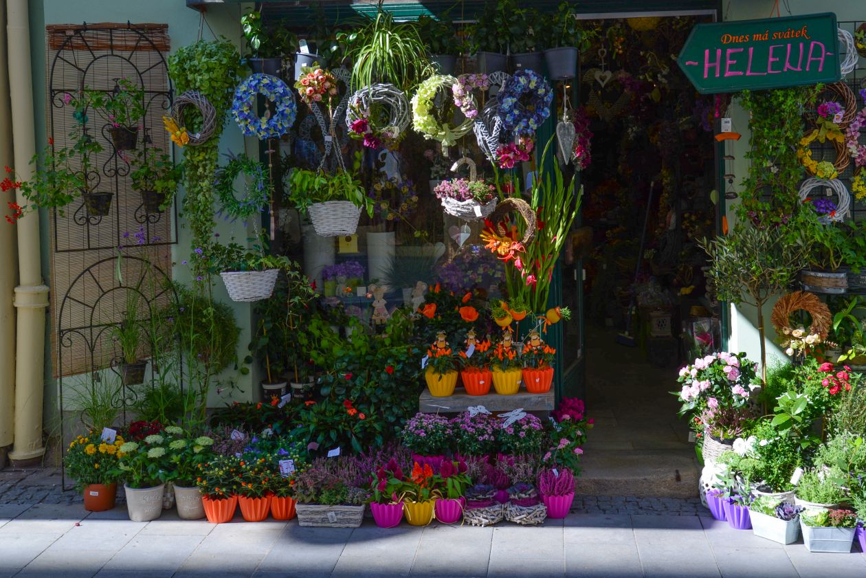 Flower shop Stock Free