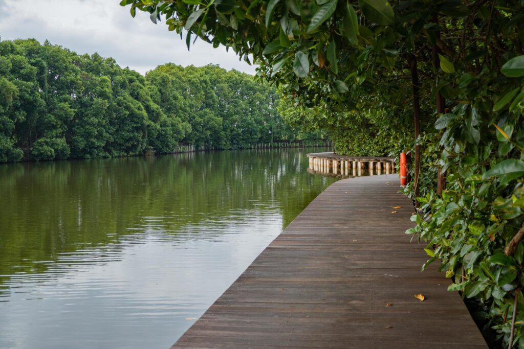 Wooden bridge over the tropical lake with cloudy vibes. The photo is suitable to use for adventure content media, nature poster and forest background. Stock Free